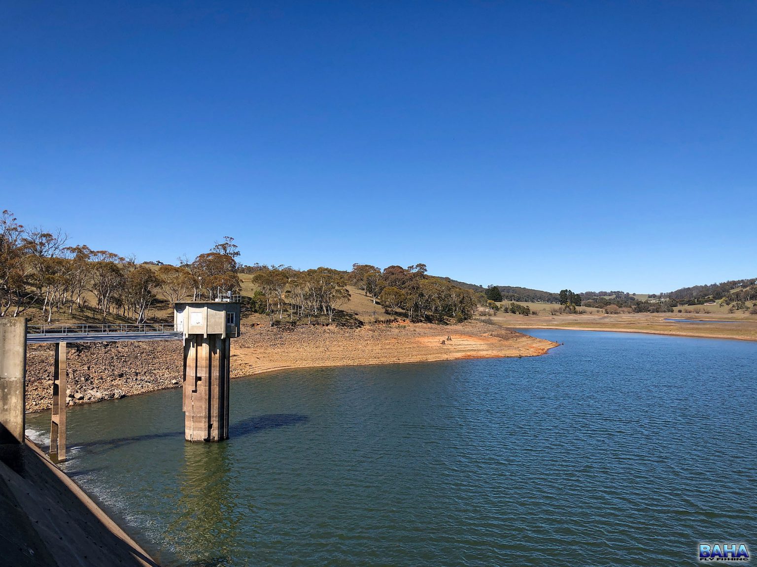 Lake Oberon Trout - Baha Fly Fishing